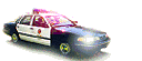 image © Los Angeles Police Department, LAPD