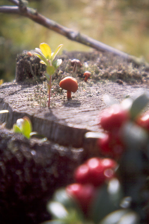 Possibilities - September 1985, Photo & ImageCopyright BOES.ORG