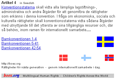 barnkonventionen artikel 4